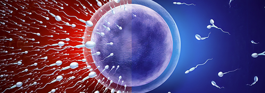 Panacea Fertility Center