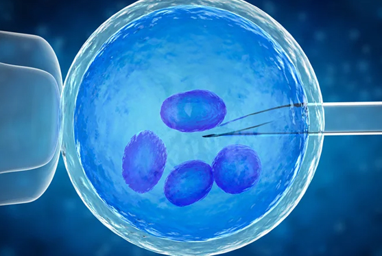 Laser Assisted Hatching (LAH)