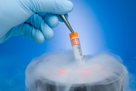 Male Fertility Preservation