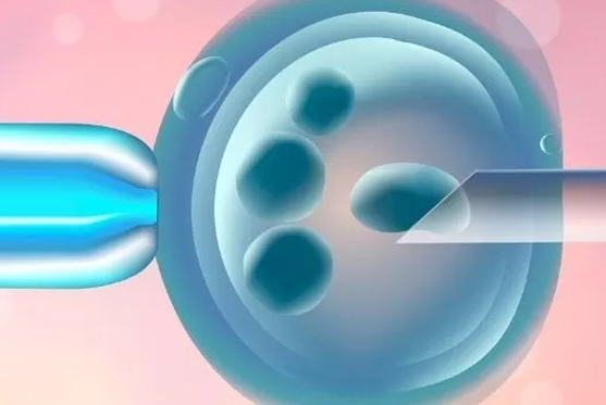 Preimplantation Genetic Testing (PGD/PGS/PGT-A)