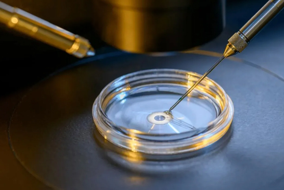 Physiological Intra-Cytoplasmic Sperm Injection (PICSI)