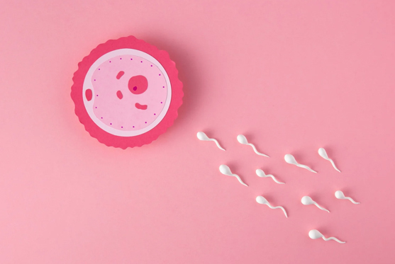 Sequential Embryo Transfer (SET)