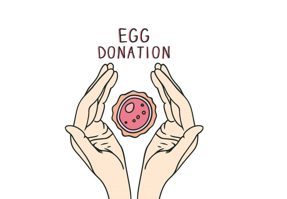 Best Egg Ocyte Or Sperm Donation in Thane