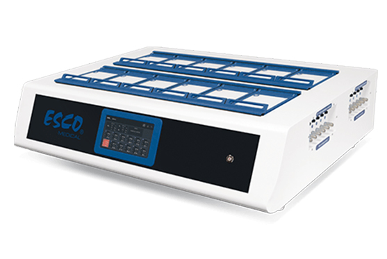 Trigas IVF Incubator